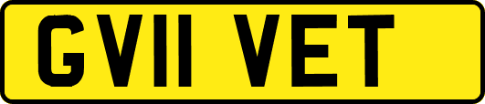 GV11VET