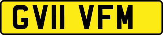 GV11VFM