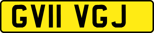 GV11VGJ