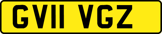 GV11VGZ
