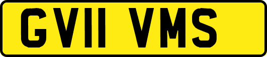 GV11VMS