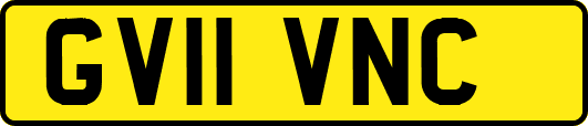 GV11VNC