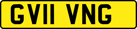 GV11VNG