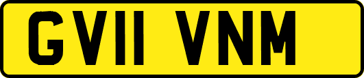 GV11VNM