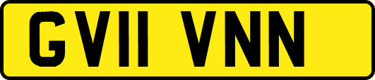 GV11VNN