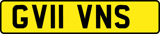 GV11VNS