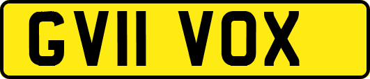GV11VOX