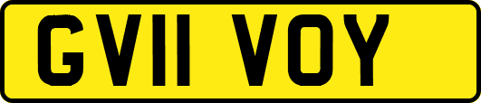 GV11VOY