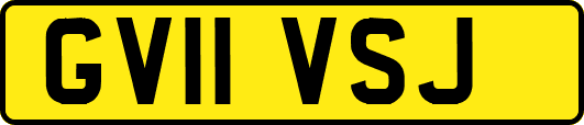 GV11VSJ