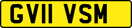 GV11VSM