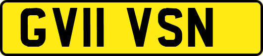 GV11VSN