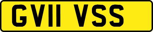 GV11VSS