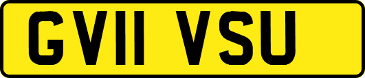 GV11VSU