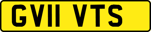 GV11VTS