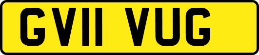GV11VUG
