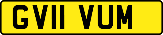 GV11VUM