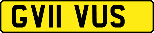 GV11VUS