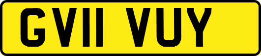 GV11VUY