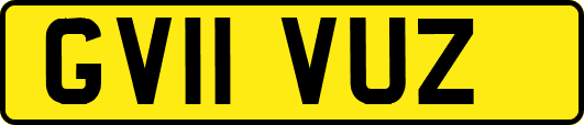 GV11VUZ