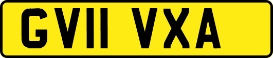 GV11VXA