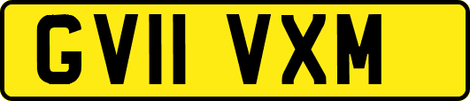 GV11VXM