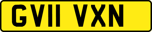 GV11VXN