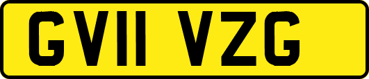 GV11VZG