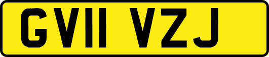 GV11VZJ