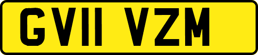GV11VZM