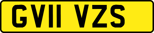 GV11VZS