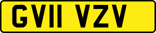 GV11VZV
