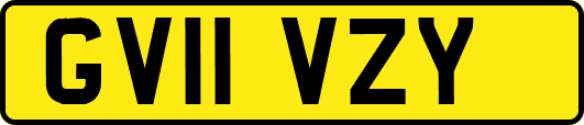 GV11VZY