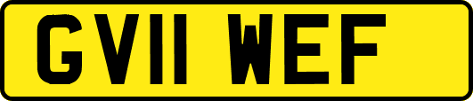 GV11WEF