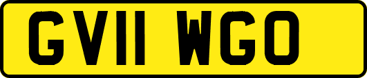 GV11WGO