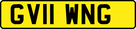 GV11WNG