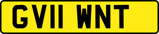 GV11WNT