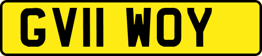GV11WOY