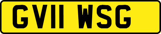 GV11WSG
