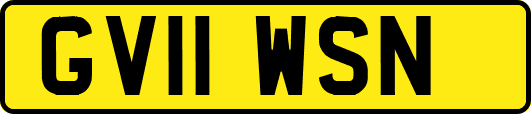 GV11WSN