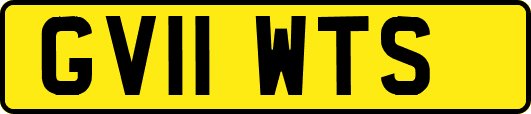 GV11WTS