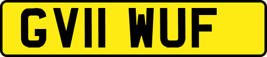 GV11WUF