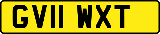 GV11WXT