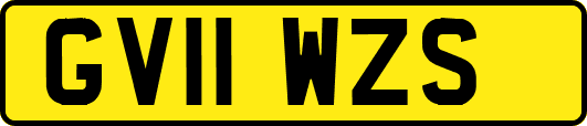 GV11WZS