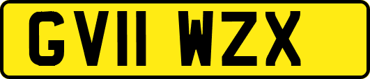 GV11WZX