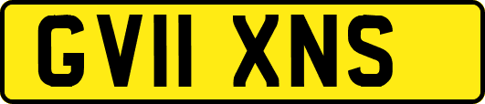 GV11XNS
