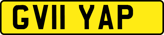 GV11YAP