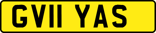 GV11YAS
