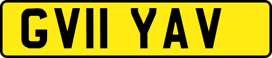 GV11YAV