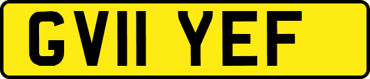 GV11YEF