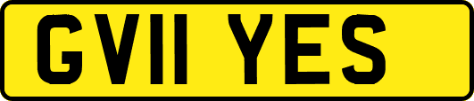 GV11YES